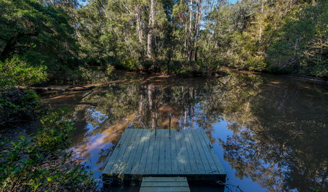 Brimbin Nature Reserve - Accommodation Sunshine Coast 0
