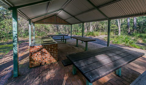 Brimbin Nature Reserve - Accommodation Sunshine Coast 1
