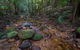 Starrs Creek Picnic Area - thumb 0