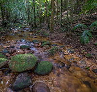 Starrs Creek picnic area - Accommodation Sunshine Coast