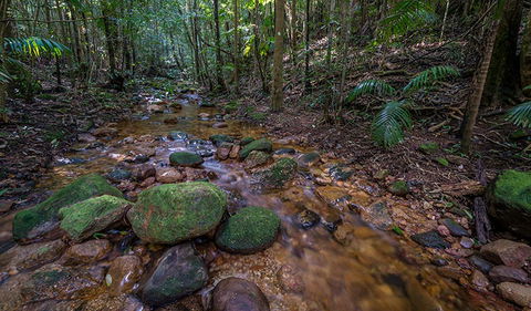 Starrs Creek Picnic Area - Accommodation Sunshine Coast 0
