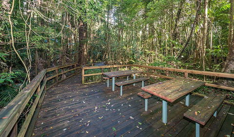 Starrs Creek Picnic Area - Accommodation Sunshine Coast 1