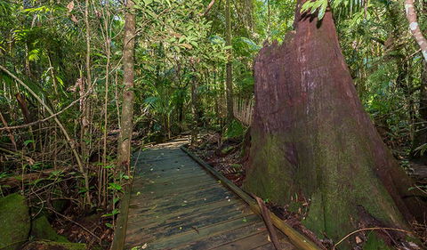 Starrs Creek Picnic Area - Accommodation Sunshine Coast 2