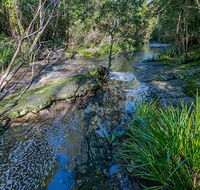 Dawson River walking track - Accommodation Sunshine Coast