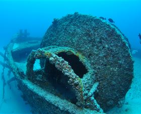 Curtain Artificial Reef Dive Site - Accommodation Sunshine Coast 3