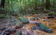 Coorabakh National Park - thumb 1
