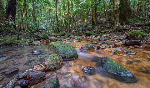 Coorabakh National Park - Accommodation Sunshine Coast 1