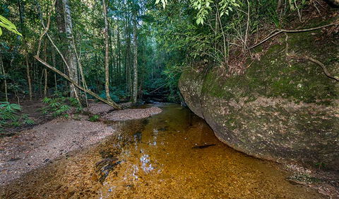 Coorabakh National Park - Accommodation Sunshine Coast 2
