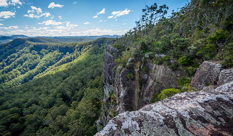 Coorabakh National Park - Accommodation Sunshine Coast 3