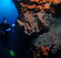 Gotham City Dive Site - Accommodation Sunshine Coast