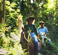 Clarendon Forest Retreat Horse Riding - Accommodation Sunshine Coast