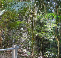 Goorgana walking track - Accommodation Sunshine Coast