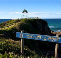 One Tree Point Lookout and Picnic Area - Accommodation Sunshine Coast