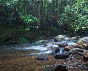 Protesters Falls - Accommodation Sunshine Coast 1