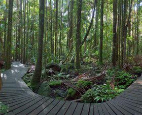 Protesters Falls - Accommodation Sunshine Coast 4