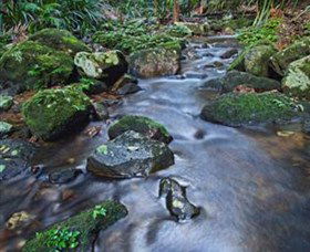 Protesters Falls - Accommodation Sunshine Coast 7