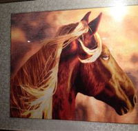 Silk Art Gallery - Accommodation Sunshine Coast