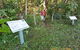 Coramba Nature Reserve - thumb 0