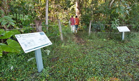 Coramba Nature Reserve - Accommodation Sunshine Coast 0