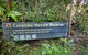 Coramba Nature Reserve - thumb 3