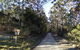 Box Cutting Rainforest Walk - thumb 0