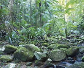 Rocky Creek Dam - Accommodation Sunshine Coast 5