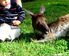 Bunbury Wildlife Park - Accommodation Sunshine Coast 0
