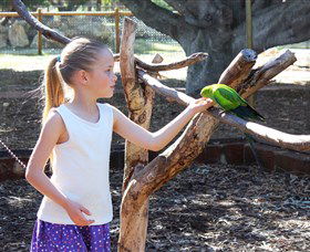 Bunbury Wildlife Park - Accommodation Sunshine Coast 1