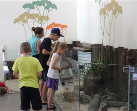 Bunbury Wildlife Park - Accommodation Sunshine Coast 2