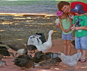 Bunbury Wildlife Park - Accommodation Sunshine Coast 3