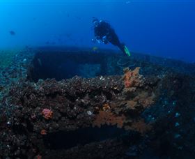 Cementco Dive Site - Accommodation Sunshine Coast 3