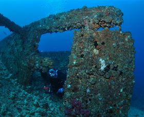 Cementco Dive Site - Accommodation Sunshine Coast 2