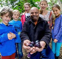Wigay Aboriginal Culture Park - Accommodation Sunshine Coast