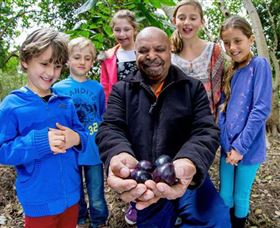 Wigay Aboriginal Culture Park - Accommodation Sunshine Coast 0