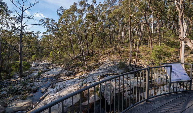 Coolangubra NSW Accommodation Sunshine Coast