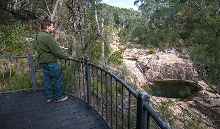 Quaama NSW Accommodation Sunshine Coast