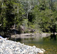 Mount Boss State Forest - Accommodation Sunshine Coast