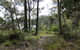 Ringlands Rotary Walk Narooma - thumb 0