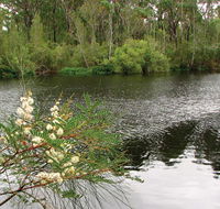 Wallingat National Park - Accommodation Sunshine Coast