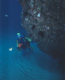 Scottish Prince Dive Site - Accommodation Sunshine Coast 1