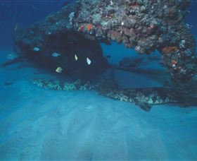 Scottish Prince Dive Site - Accommodation Sunshine Coast 3