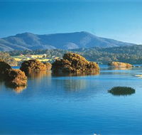 Wagonga Picnic Area - Accommodation Sunshine Coast