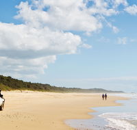 Bongil Bongil National Park - Accommodation Sunshine Coast