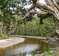 Saltwater National Park - Accommodation Sunshine Coast