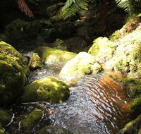 South East Forests National Park - Accommodation Sunshine Coast