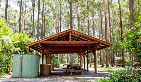 Bongil Picnic Area - Accommodation Sunshine Coast 0