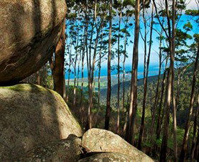 Mount Gulaga (Mount Dromedary) Walk - Accommodation Sunshine Coast 0