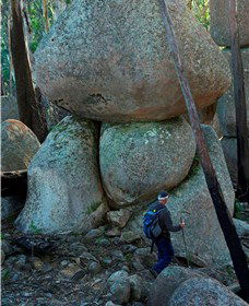 Mount Gulaga (Mount Dromedary) Walk - Accommodation Sunshine Coast 1