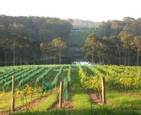 Bellbird Scenic Drive Tilba - Accommodation Sunshine Coast 3