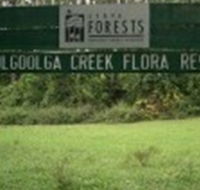 Woolgoolga Creek Flora Reserve - Accommodation Sunshine Coast